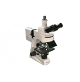 trinokulyarnye-fluorestsentnye-mikroskopy-mt6300cw