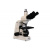 biologicheskie-mikroskopy-prokhodyashchego-sveta-dlya-primeneniya-v-dermatologii-mt5300d