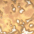 mikroskop-metallograficheskiy-magus-metal-650