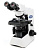 olympus-cx31