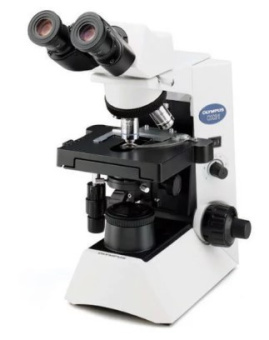 OLYMPUS CX31