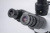 Olympus CKX41