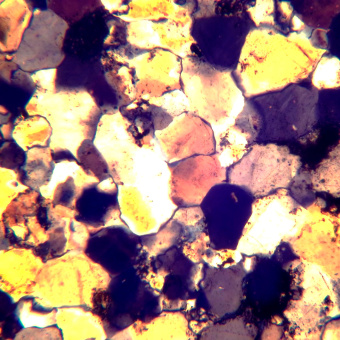 mikroskop-polyarizatsionnyy-magus-pol-800