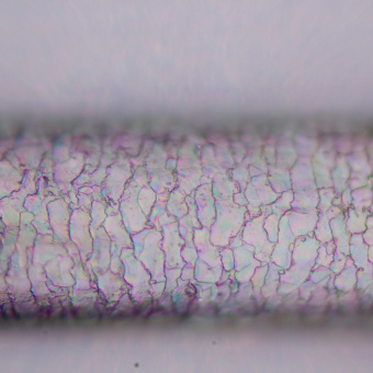 mikroskop-polyarizatsionnyy-magus-pol-800