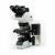 OLYMPUS BX53 Evident