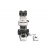 Биологические флуоресцентные микроскопы MT6300ECL biologicheskie-fluorestsentnye-mikroskopy-mt6300ecl
