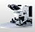 olympus-bx61wi-evident