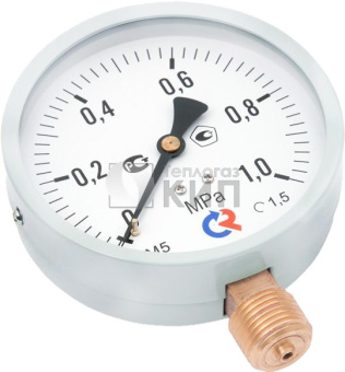 tm_510-m2-manometry-standartnogo-ispolneniya_-model-2