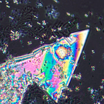 mikroskop-polyarizatsionnyy-magus-pol-800