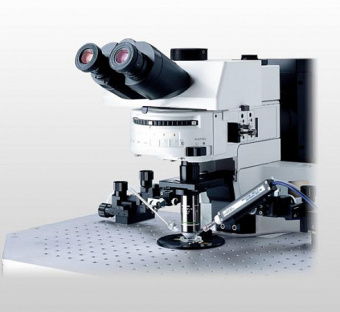 Olympus BX61Wi Evident