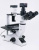 Olympus CKX41