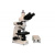 metallograficheskie-mikroskopy-mt8100